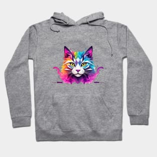 A Geometric Ode to Neon in Contemporary Cat Art Hoodie